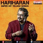 Nuvve Nuvve Hariharan,Sujatha Mohan Song Download Mp3