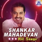 Shankar Mahadevan Hit Songs songs mp3