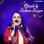 Aap Se Nazrein Mila Ke Sadhana Sargam,Shadab Faridi Song Download Mp3