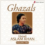 Phoolon Ki Rut Hai Thandi Hawayein Ustad Aslam Khan Song Download Mp3