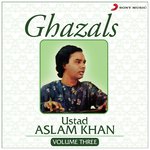 Ghazals, Vol. 3 songs mp3