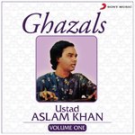 Kar Ke Mujhe Hairaan Gaye Hain Ustad Aslam Khan Song Download Mp3