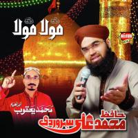 Waqiya Hai Karbala Ka Hafiz Muhammad Ali Soharwardi,Yaqoob Ibrahim Song Download Mp3