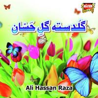 Guldasta Gul E Hassan songs mp3