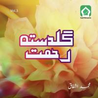 Her Ik Maqsad Mein Muhammad Ashfaq Song Download Mp3