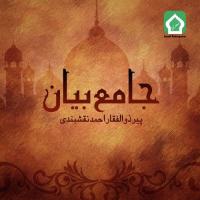 Bure Doston Ki Sohbat Peer Zulfiqar Ahmad Naqshbandi Song Download Mp3