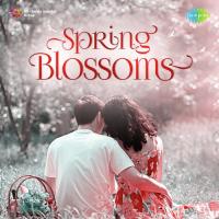 Spring Blossoms songs mp3