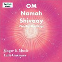 OM Chanting 21 Times Lalit Gurwara Song Download Mp3
