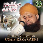 Ummat Ko Khudaya Tera Hi Asra Hai Alhajj Muhammad Owais Raza Qadri Song Download Mp3