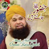 Huzoor Jante Hai Alhaaj Muhammad Owais Raza Qadri Song Download Mp3