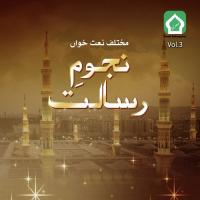 Yadoon Key Sahaba Muhammad Ashfaq Song Download Mp3