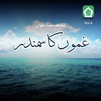 Ya Illahi Ya Illahi Hafiz Muhammad Ashfaq Song Download Mp3