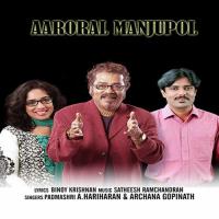Aaroral Manjupol Hariharan,Archana Gopinath Song Download Mp3