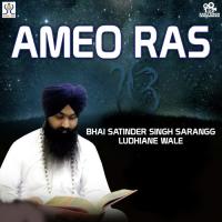 Jan Pariup Kaaree Aaeae Bhai Satinder Singh Song Download Mp3