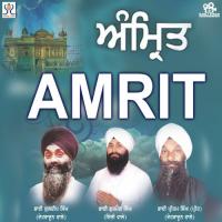 Har Amrit Pan Karho Bhai Gurmail Singh Song Download Mp3