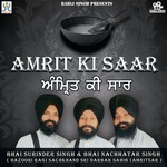 Amrit Ki Saar Bhai Surinder Singh Song Download Mp3