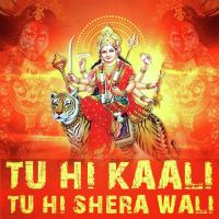 Kareli Maiya Sher Divya Bharti Song Download Mp3