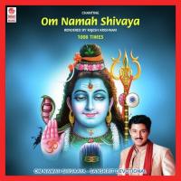 Om Namah Shivaaya songs mp3