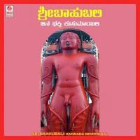 Adhinaathara Stuthi B.R. Chaya Song Download Mp3