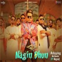 Nagin Dhun SB The Haryanvi Song Download Mp3