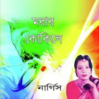 Amar Bachar Upai Hobe Ki Nargis Song Download Mp3