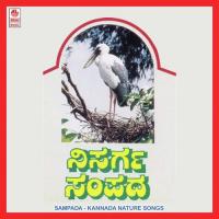 Gaali Adidare Y.K. Muddukrishna Song Download Mp3
