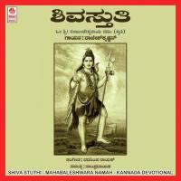 Shiva Stuthi (nanjundeshawara Namah) songs mp3