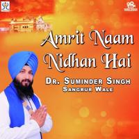 Amrit Naam Nidhan Hai songs mp3