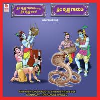 Sri Krishna Gaarudi And Sri Krishna Leele songs mp3