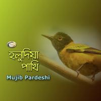 Holudia Pakhi songs mp3