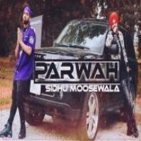 Parwah Sidhu Moose Wala,Nikhil Song Download Mp3