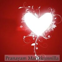 Pranayam Marikkunnilla songs mp3