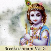 Sreekrishnam Vol. 3 songs mp3