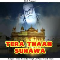 Bhagtan Ki Tek Tu Bhai Surinder Singh Ji-Patna Saheb Wale Song Download Mp3