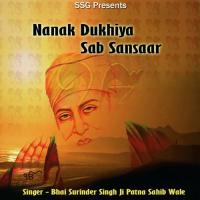Moko Tu Na Bisar Bhai Surinder Singh Ji-Patna Saheb Wale Song Download Mp3