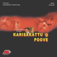 Mamarathule Ilaiyaraaja,P. Unnikrishnan,Bhavatharini Song Download Mp3