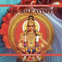 Vande Va Ayyappa Puttur Narasimha Nayak Song Download Mp3
