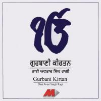 Gurbani Kirtan, Vol. 2 songs mp3