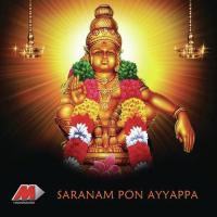 Saranam Ponnayyappa songs mp3