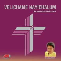 Velichame Nayichalum songs mp3