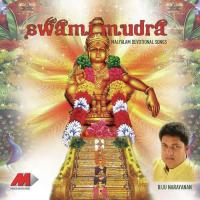 Hariharaasuthane Biju Narayan Song Download Mp3