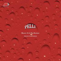 Pelli songs mp3