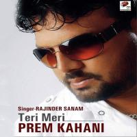 Teri Meri Prem Kahani songs mp3