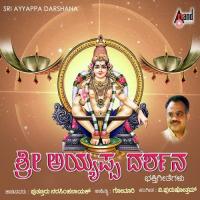 Pari Pari Vidhadali Puttur Narashimha Nayak Song Download Mp3