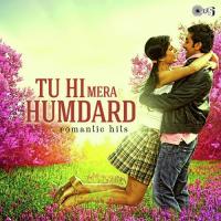 Tu Hi Mera Humdard (Romantic Hits) songs mp3