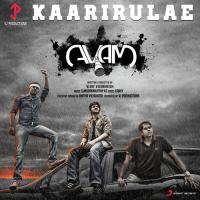 Kaarirulae (Karaoke Version) Sundaramurthy KS Song Download Mp3