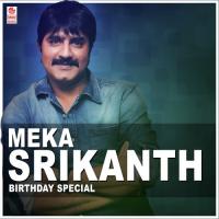 Meka Srikanth Birthday Special songs mp3