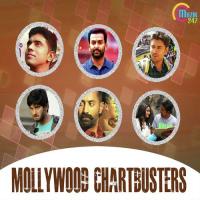 Mollywood Chartbusters songs mp3