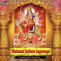 Matarani Jaykare Lagaunga songs mp3