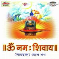 Om Namah Shivay-Nadabram songs mp3